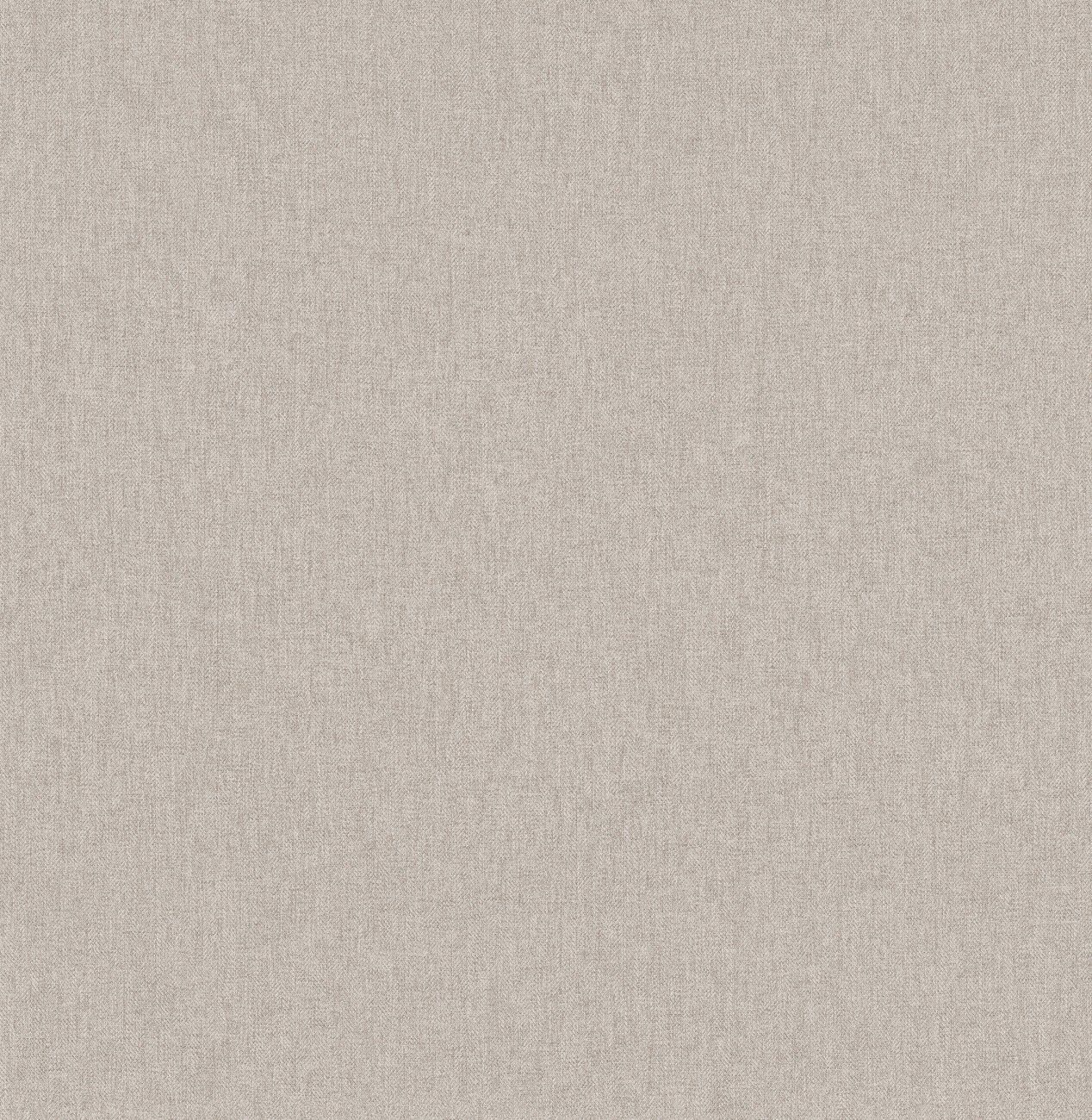 Naasir 15 winter | 1