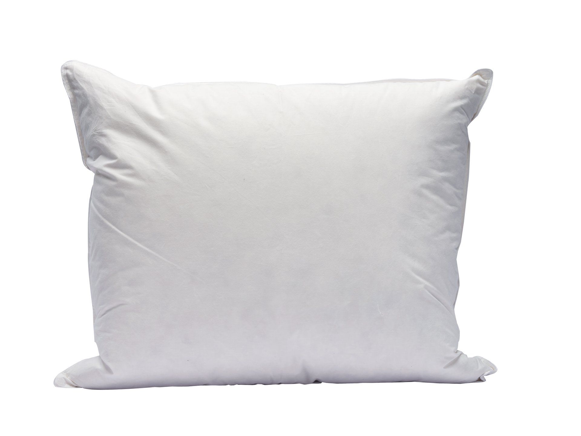 Hoofdkussen Ariane 1000 g | 1