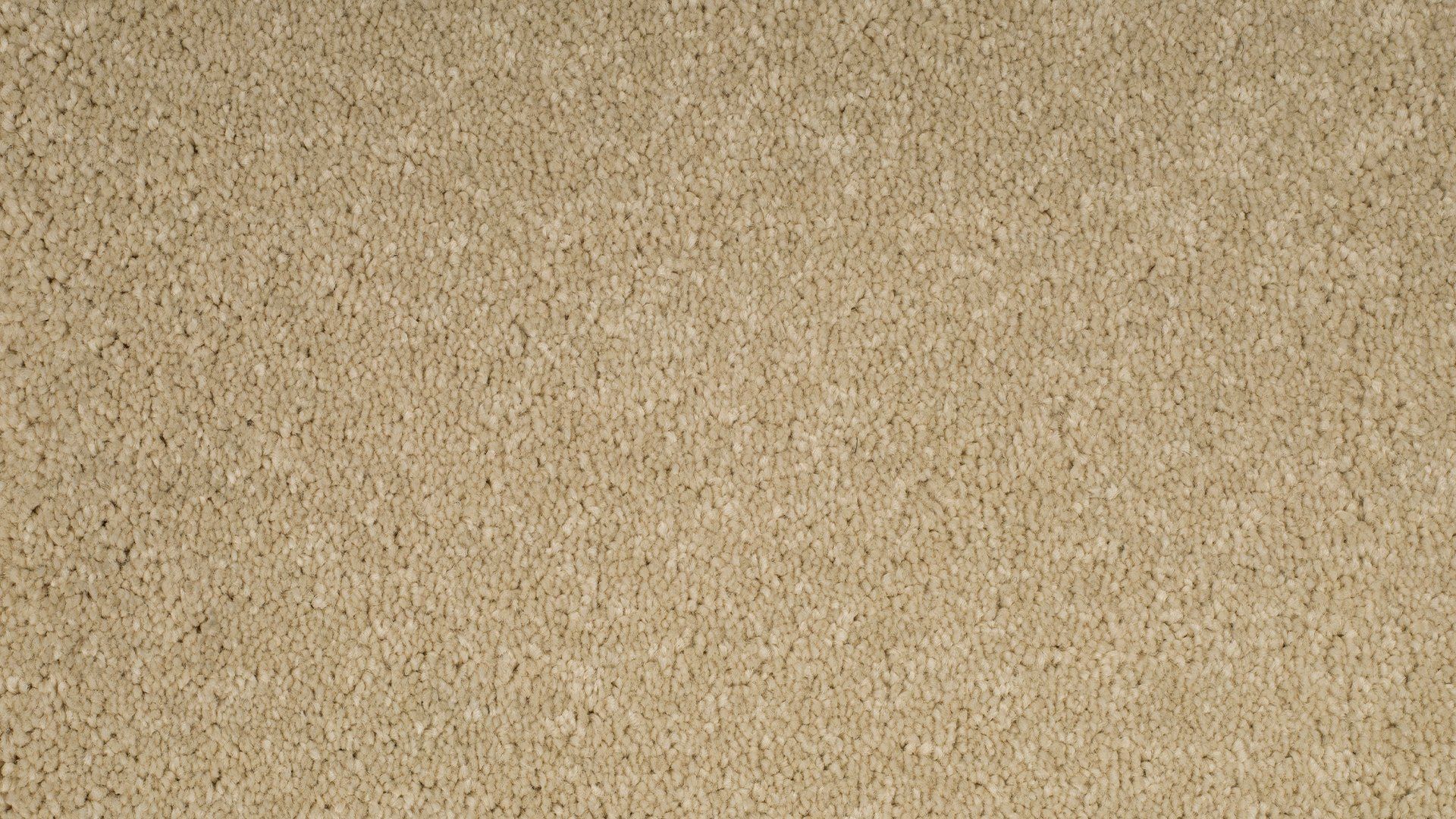 Parade tapijt Paris AB65 171 T1 400cm | 1