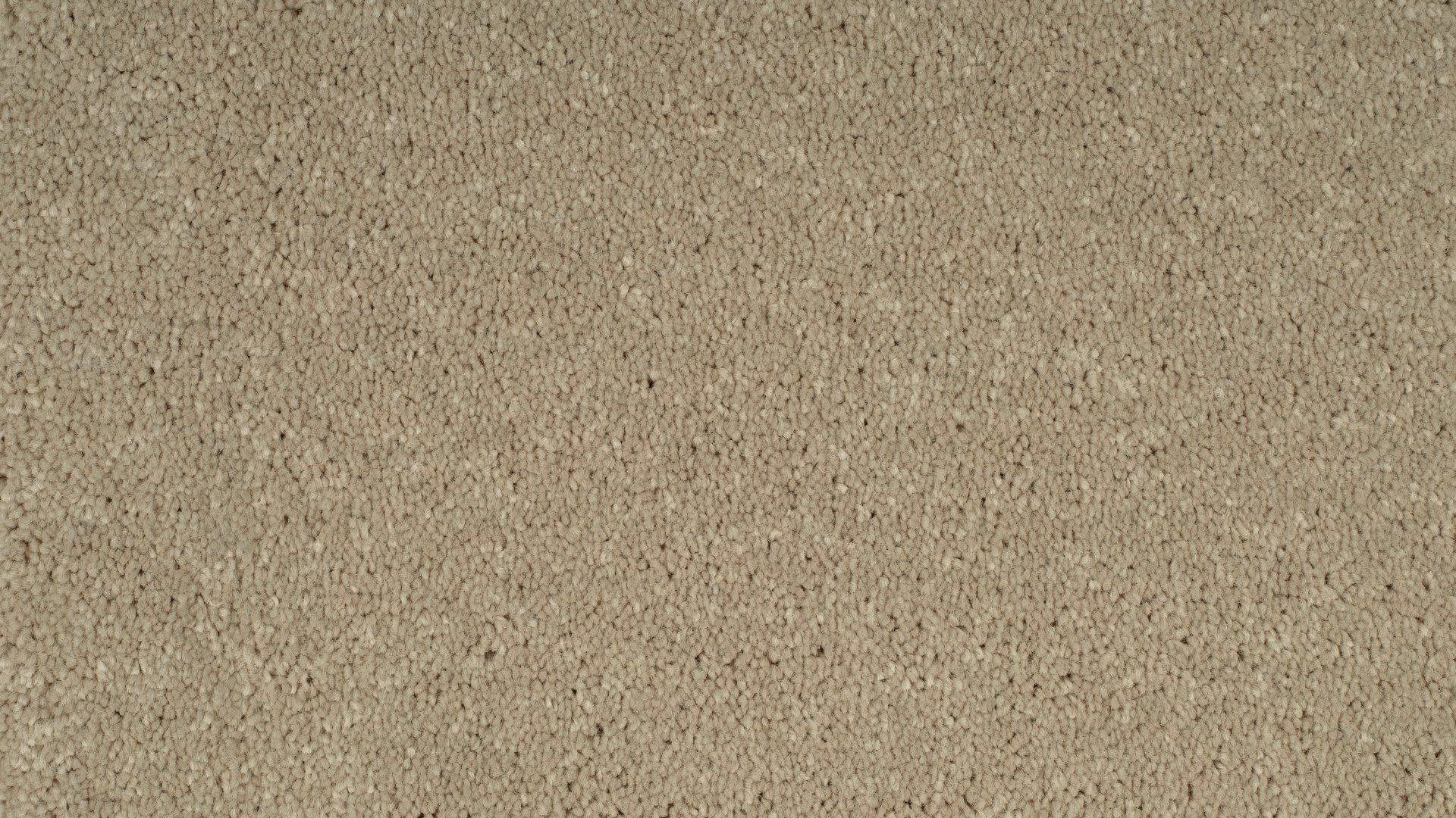 Parade tapijt Paris AB65 172 T1 400cm | 1