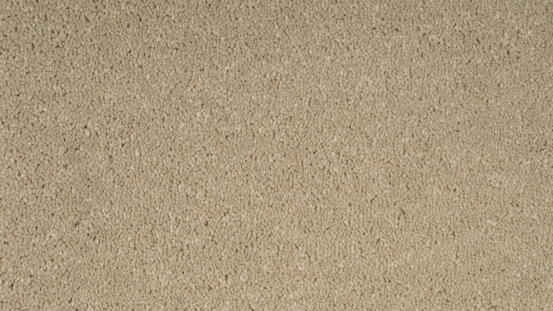 Parade tapijt Paris AB65 173 T1 400cm | 1