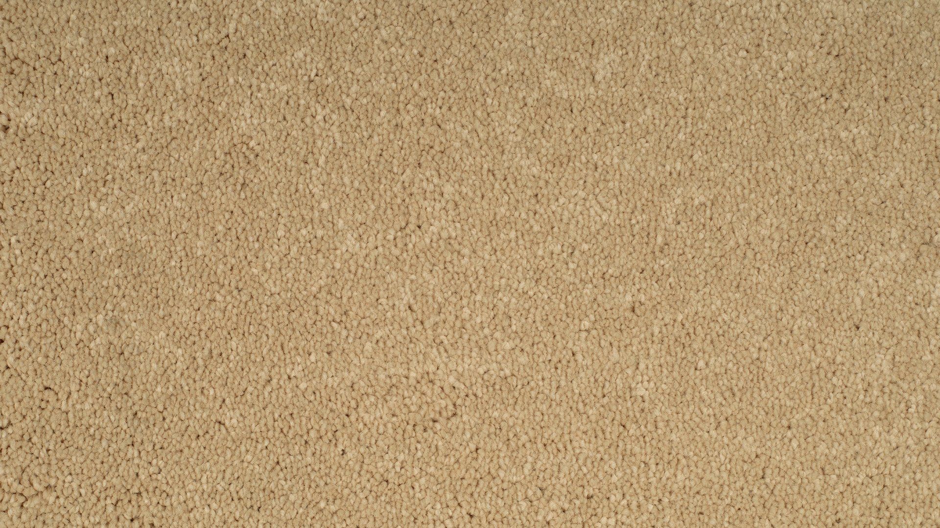 Parade tapijt Paris AB65 174 T1 400cm | 1