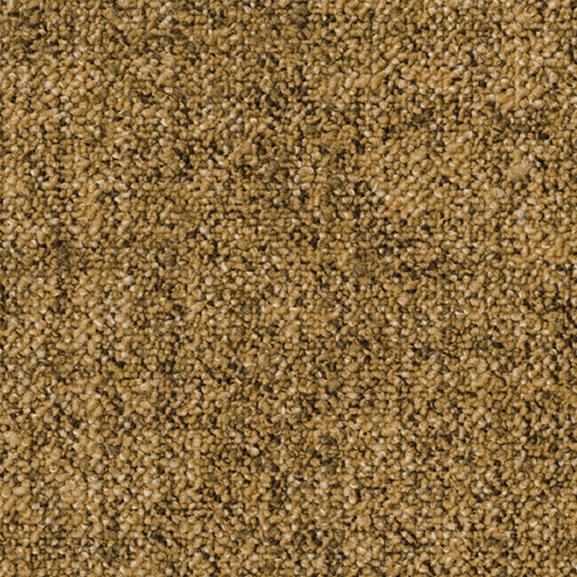 Parade tapij Linon AA83 6022-V B8 50x50 tegel