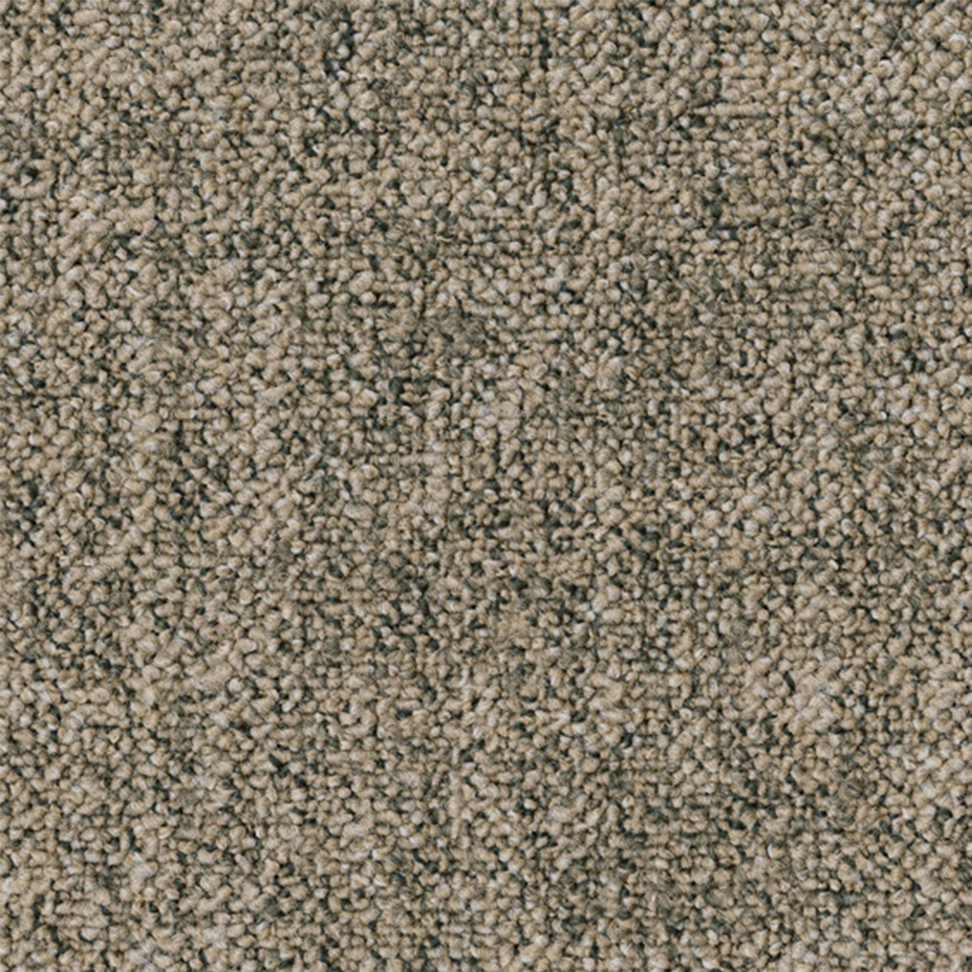 Parade tapij Linon AA83 9097-V B8 50x50 tegel | 1